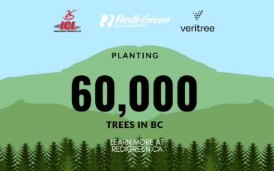 Redi-Green® Eco-Concrete Partners with veritree to Plant 20,000 Trees in BC Interior Annually