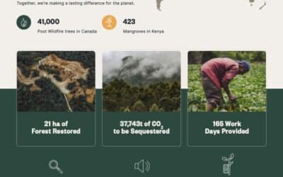 Redi-Green Eco-Concrete’s Environmental Impact: Our Partnership with veritree Yields 41,423 Trees Around the World