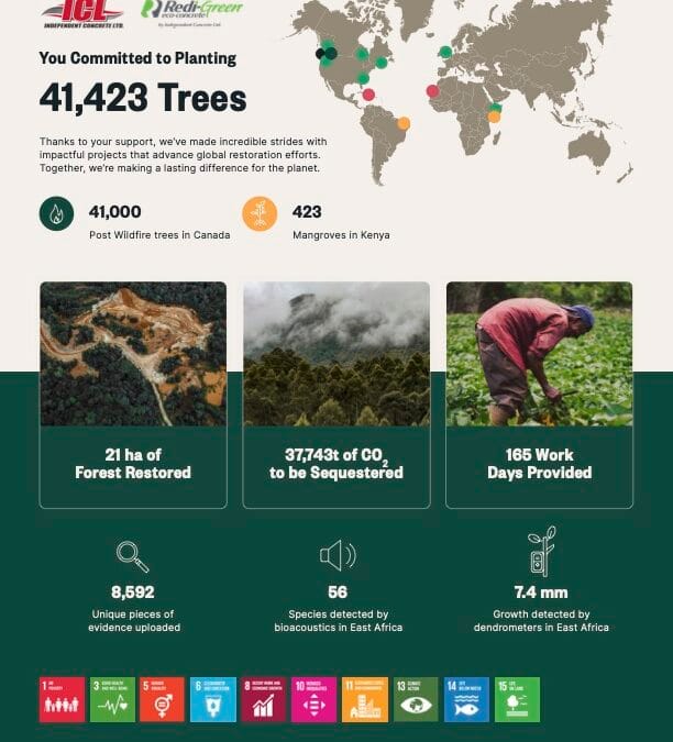 Redi-Green Eco-Concrete’s Environmental Impact: Our Partnership with veritree Yields 41,423 Trees Around the World